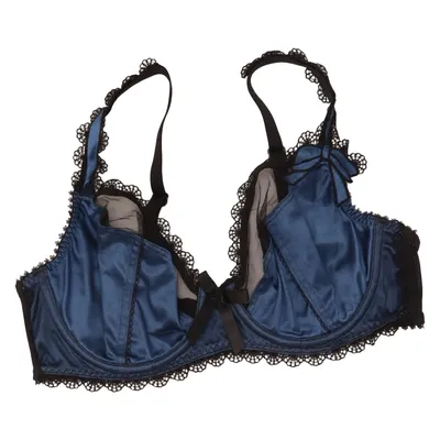 Bh (Blauw, Zwart) van Fauve