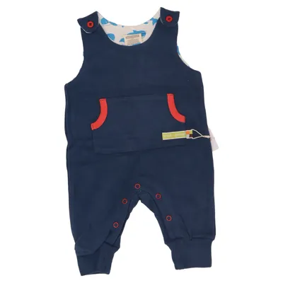 Rompers (Blue) from Loud + Proud Organic cotton