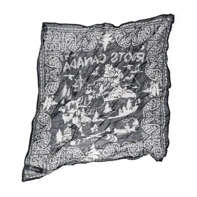 Scarf (Blå, Vit, Flerfärgad) från Roots