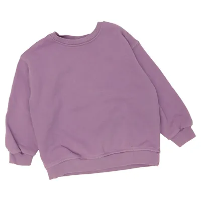 Sweatshirt (Lilla) fra Zara
