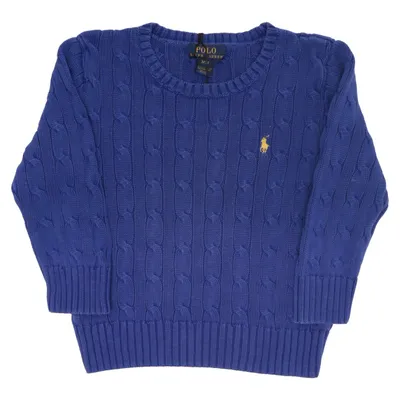 Sweater (Blå) fra Polo Ralph Lauren Bomuld