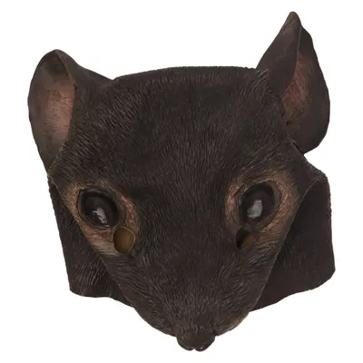 Maskeradmask (Grå)