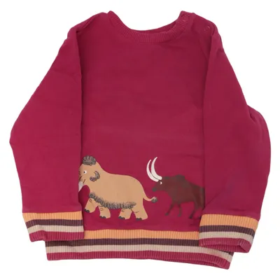 Sweatshirt (Purple, Multicolored) from Jako-O Cotton, Elastane