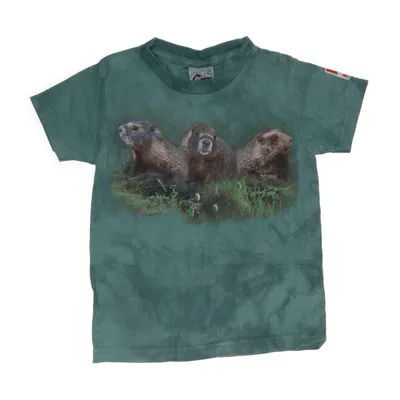 T-shirt (Grön) från Harlequin