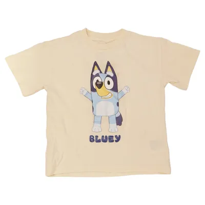 T-shirt (Bluey) from H&M x Marvel Cotton