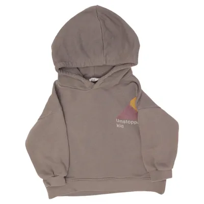 Hoodie (Gray) from Zara Cotton, Polyester