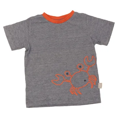 T-shirt (Gray, Orange) from Pusblu Organic cotton
