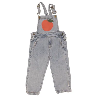Dungarees (Blue, Multicolored) from Piupiuchick Cotton