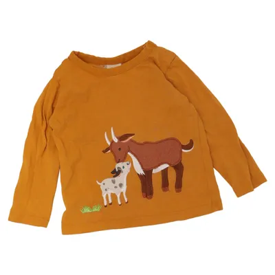 Långärmad t-shirt (Brun, Flerfärgad) från Alana Bomull