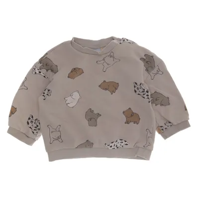 Collegetröja (Beige, Flerfärgad) från H&M Bomull