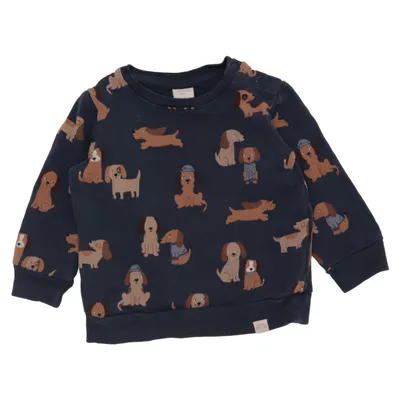 Sweatshirt (Blue, Multicolored) from Lindex Baby Cotton, Elastane