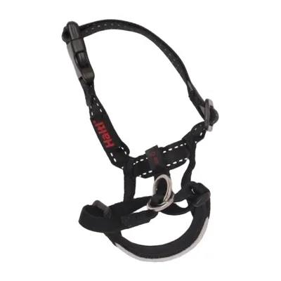 Dog harness (Black) from Halti