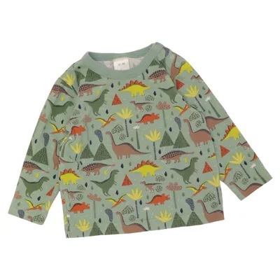Long sleeve T-shirt (Green, Multicolored) from Alana Cotton, Elastane