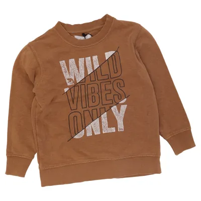 Sweatshirt (Brown) from STC Cotton, Polyester
