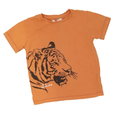 T-shirt (Orange) from STC Cotton