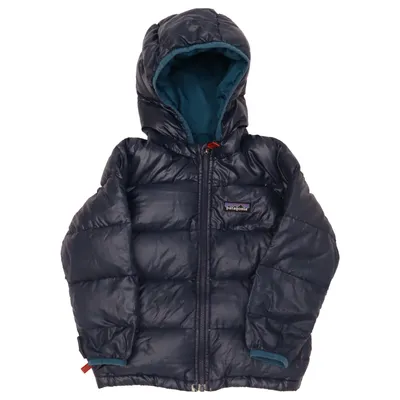 Daunenjacke (Blau) von Patagonia Daune, Feder, Polyester