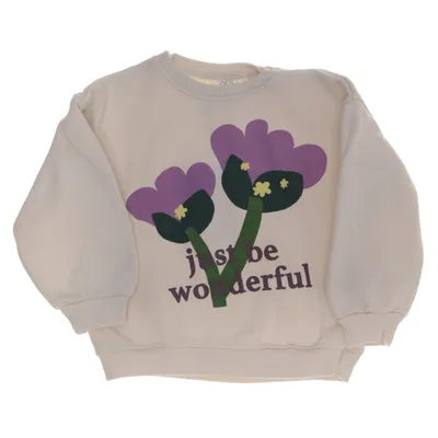 Sweatshirt (Beige, Violet, Vert) de Zara Coton, Polyester
