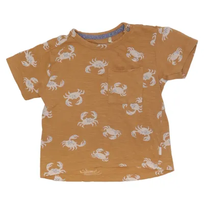 T-shirt (Brown, Multicolored) from Noppies