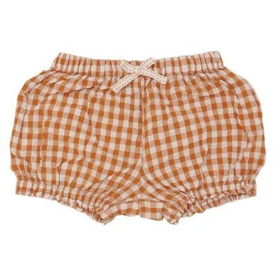 Shorts (Brown, White) from Hema
