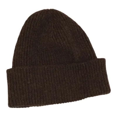 Beanie (Brown) from Colorful Standard Merino wool