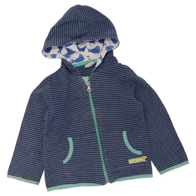 Hoodie (Blue, Green) from Loud + Proud Organic cotton
