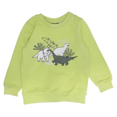 Tröja (Grön, Flerfärgad) från Lupilu Bomull, Återvunnen polyester