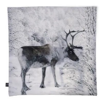 Kuddfodral (Grå, Flerfärgad) från Nina Royal Polyester