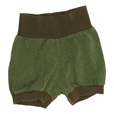 Shorts (Green) from Fjällräven