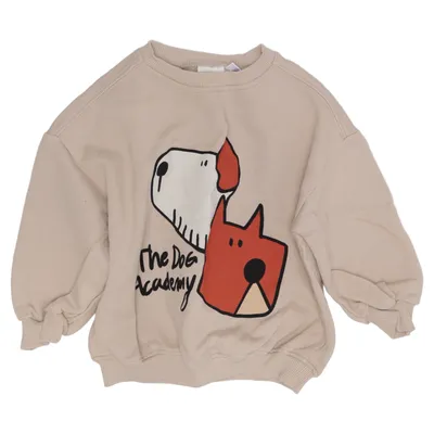 Collegetröja (Beige, Flerfärgad) från Zapa