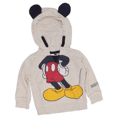 Hoodie (Gray, Multicolored) from Disney Baby Cotton