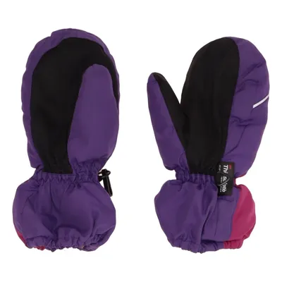 Mittens (Purple, Black) from Thinsulate