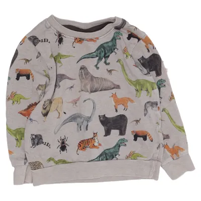 Sweatshirt (Grijs, Meerkleurig) van Kelzuki x H&M