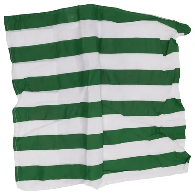 Pillowcase (Green, White) from Today Cotton