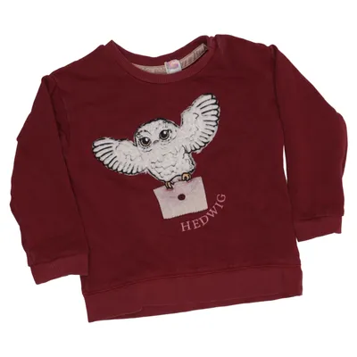 Sweatshirt (Hedwig) fra Harry Potter x H&M Bomuld