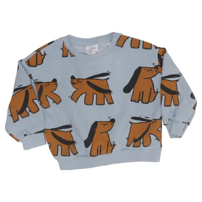 Sweatshirt (Blue, Brown, Black) from Zara Cotton, Polyester