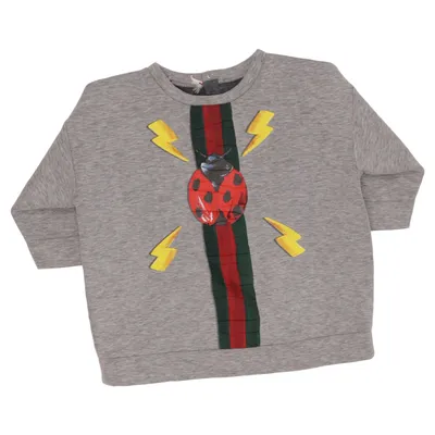 Sweatshirt (Gray, Multicolored) from Gucci