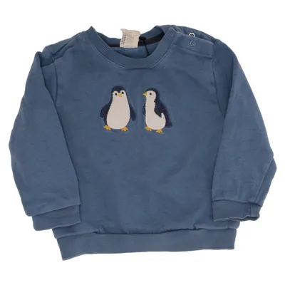 Sweatshirt (Blå) fra Alana Økologisk bomuld
