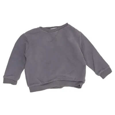 Sweatshirt (Blå) fra Zara Baby Bomuld, Elastan