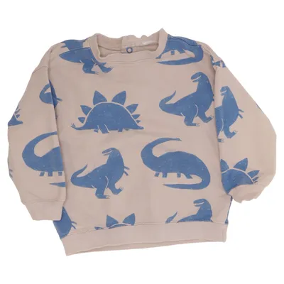 Collegetröja (Beige, Blå) från Hema Elastan, Ekologisk bomull