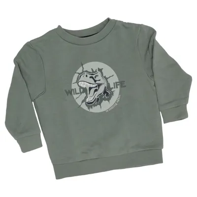 Sweatshirt (Grøn) fra Orchestra Bomuld, Polyester
