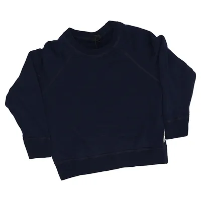 Sweatshirt (Blue) from Dilling Merino wool