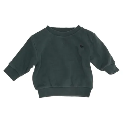 Sweatshirt (Green) from Next Cotton, Polyester
