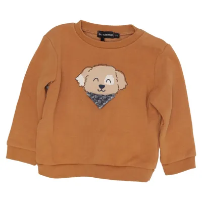 Sweatshirt (Bruin) van Inextenso