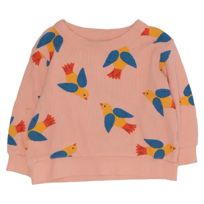 Sweatshirt (Pink, Multicolored) from Tinycottons Cotton, Elastane