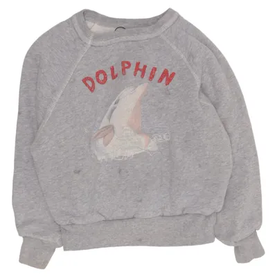 Sweatshirt (Grå) fra The Animals Observatory Bomuld