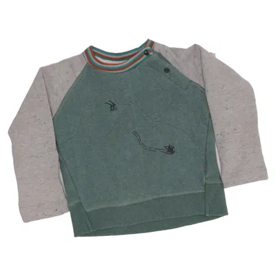 Sweatshirt (Grøn, Grå, Flerfarvet) fra Imps & Elfs Elastan, Økologisk bomuld