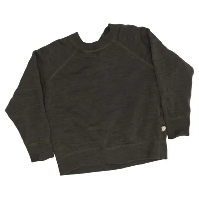 Sweatshirt (Green) from Dilling Merino wool