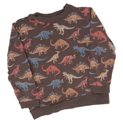 Sweatshirt (Marron, Multicolore) de Alana