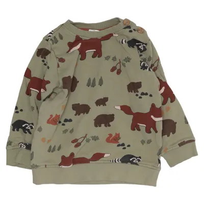 Sweatshirt (Green, Brown) from H&M