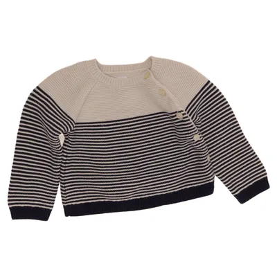 Sweater (Blue, Beige) from BabyGap Cotton